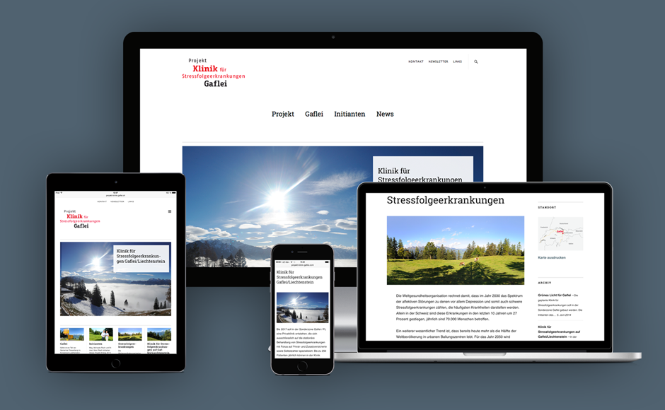 Projekt Klinik für Stressfolgeerkrankungen Gaflei